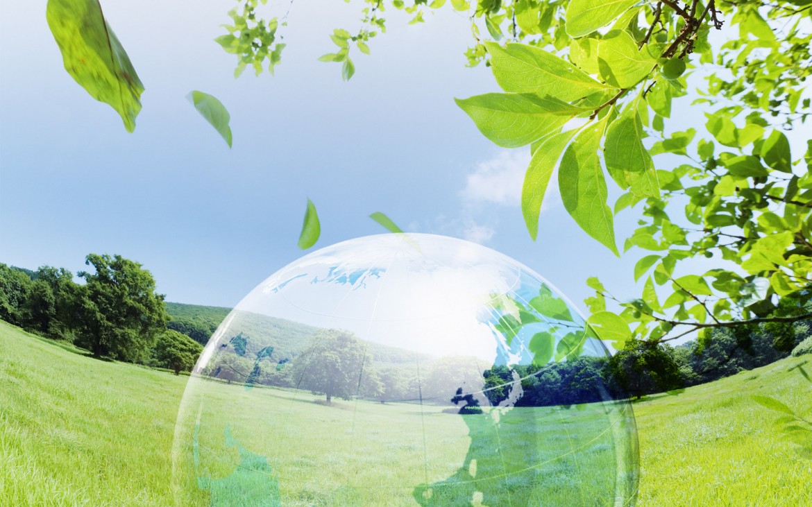 Amor a la naturaleza