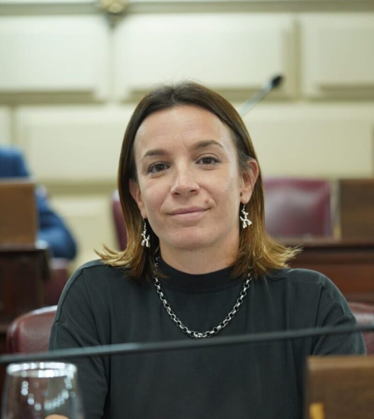 De Ponti impulsa la Participación Ciudadana en Santa Fe: Iniciativa, Referéndum, Plebiscito, Audiencias