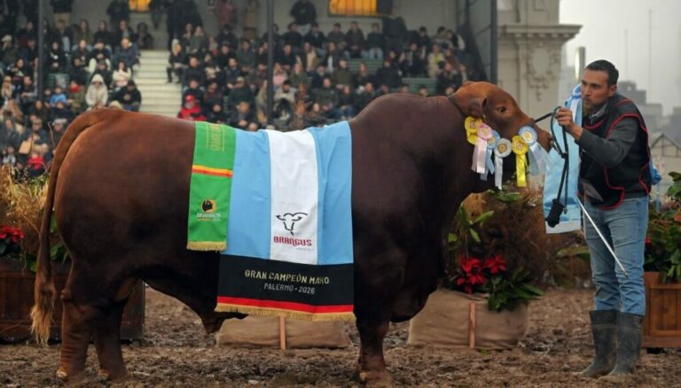 Ganó los grandes campeones tanto macho como hembra en Palermo y cuenta los secretos del éxito cabañero